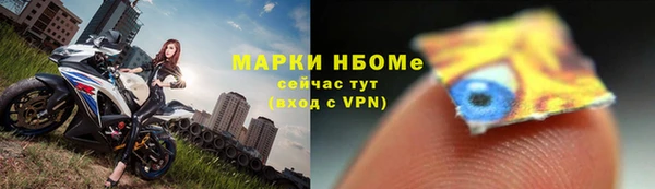 ешки Белокуриха